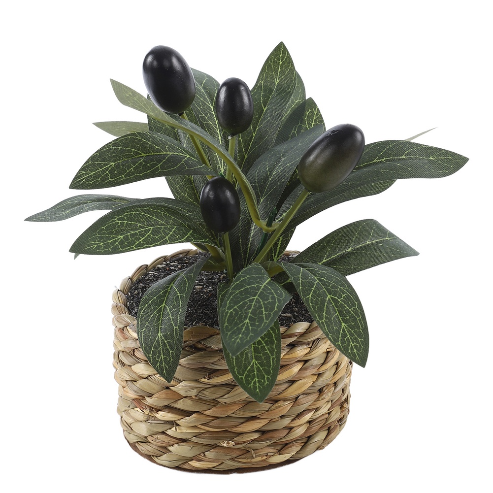 Artificial Plants Pocket Olive - Office Furniture Installation recension och pris